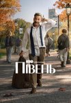 Півень